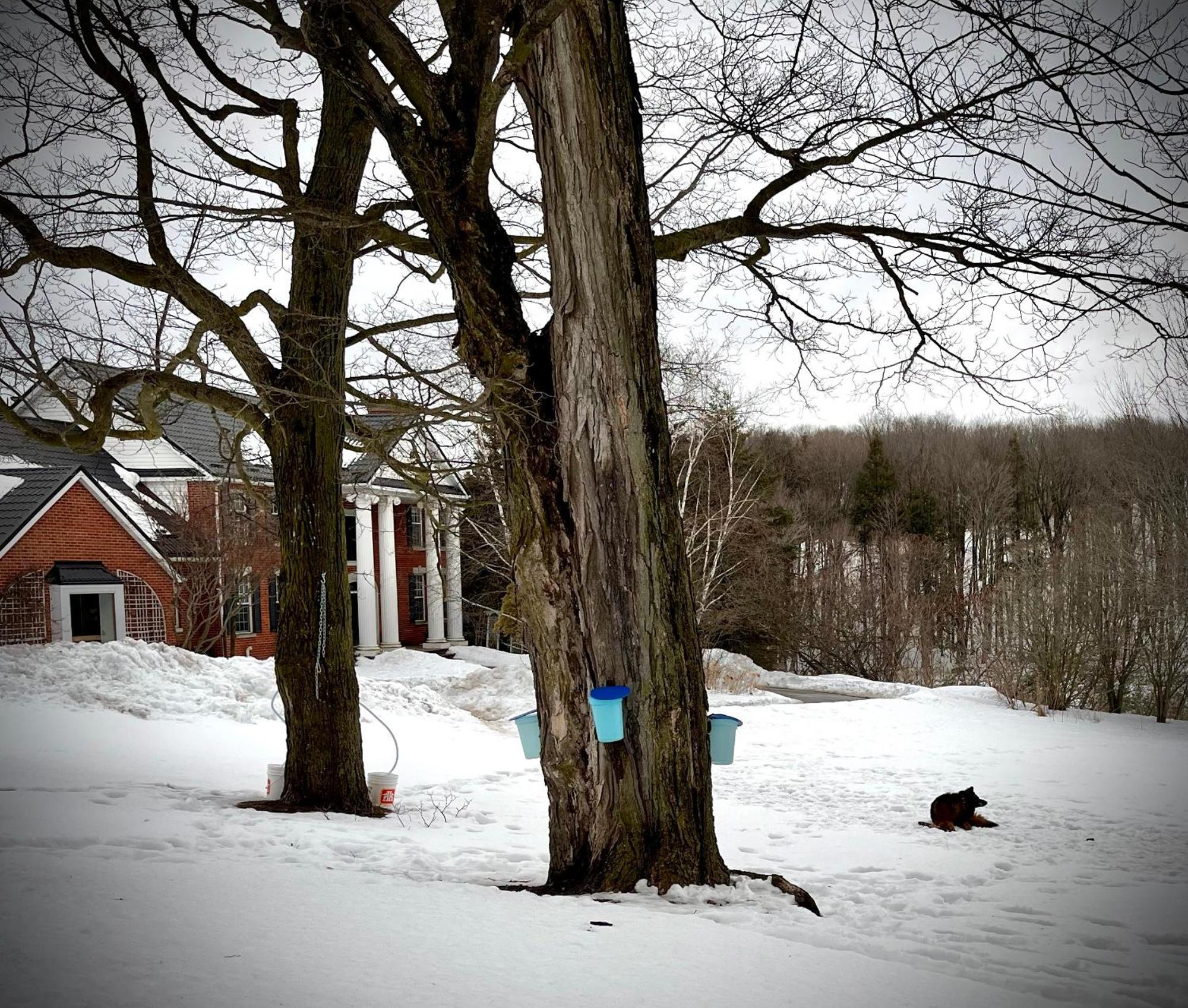 Caledon Manor And Country Inn Esterno foto