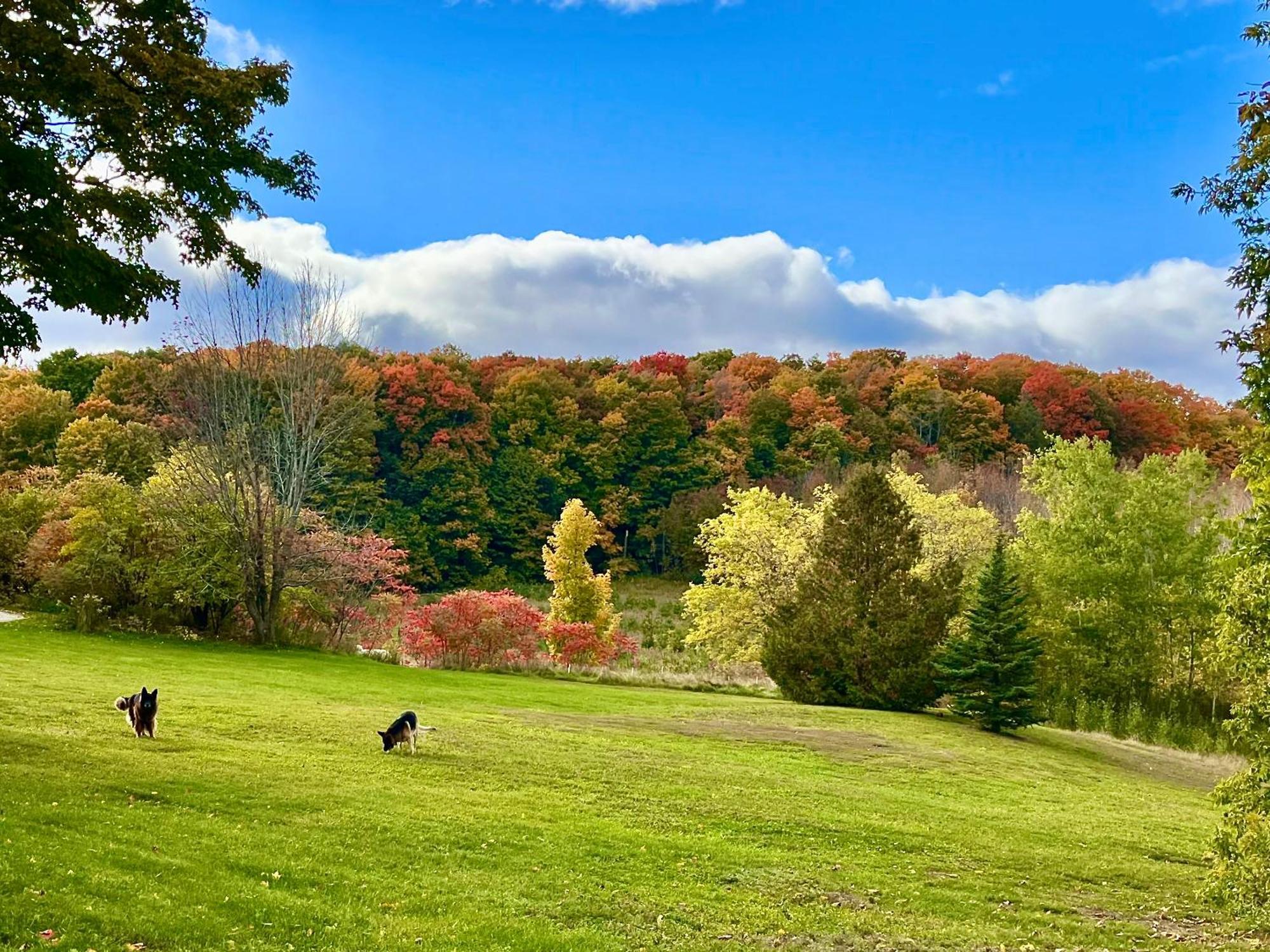 Caledon Manor And Country Inn Esterno foto