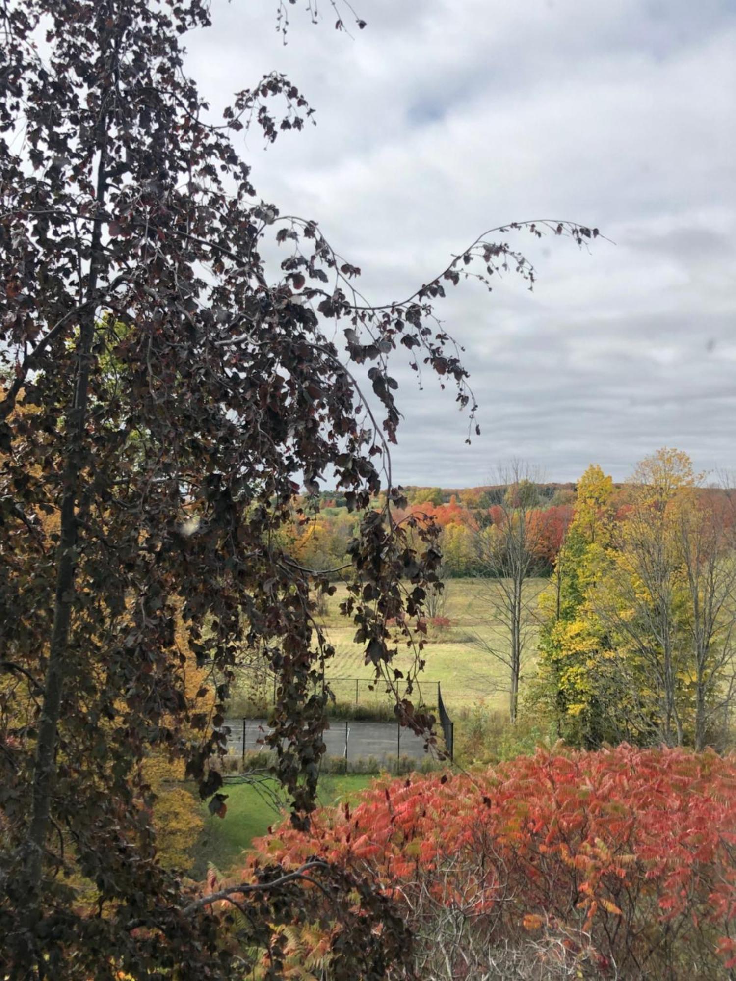 Caledon Manor And Country Inn Esterno foto